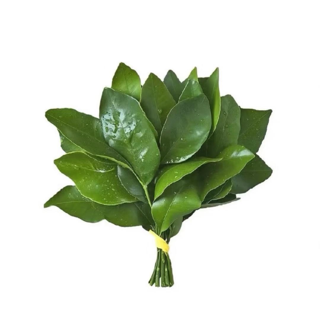 芋泥💙