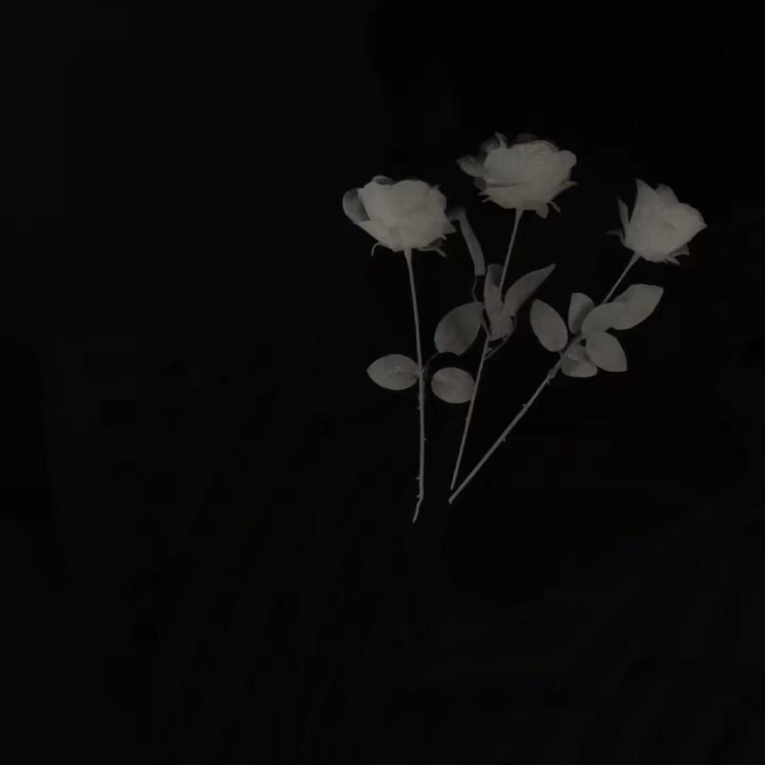 想吃小鱼./