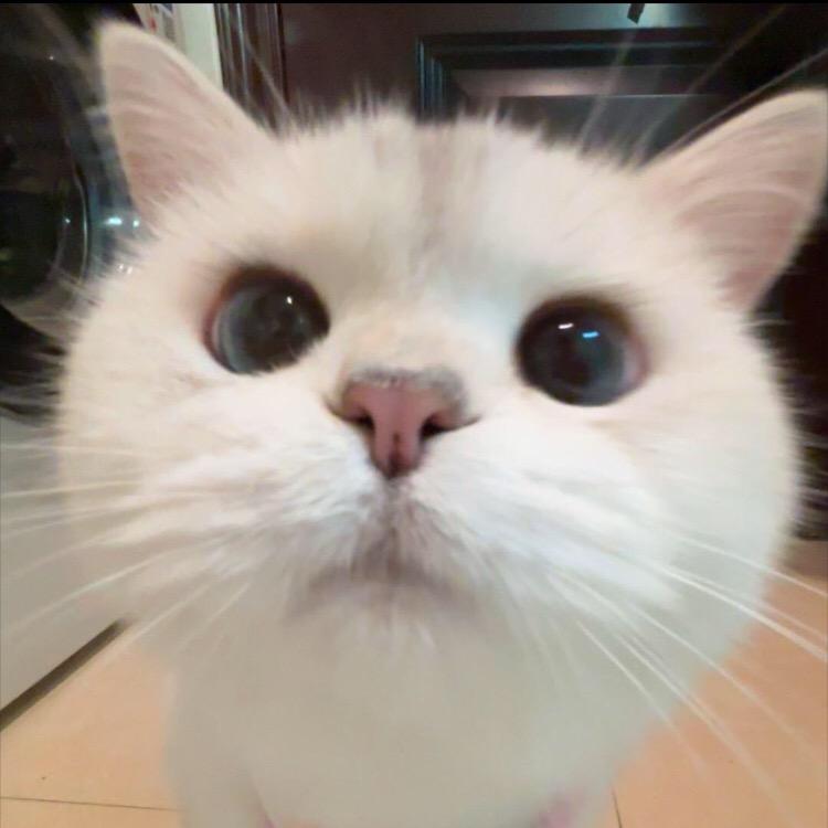 用户28585959565