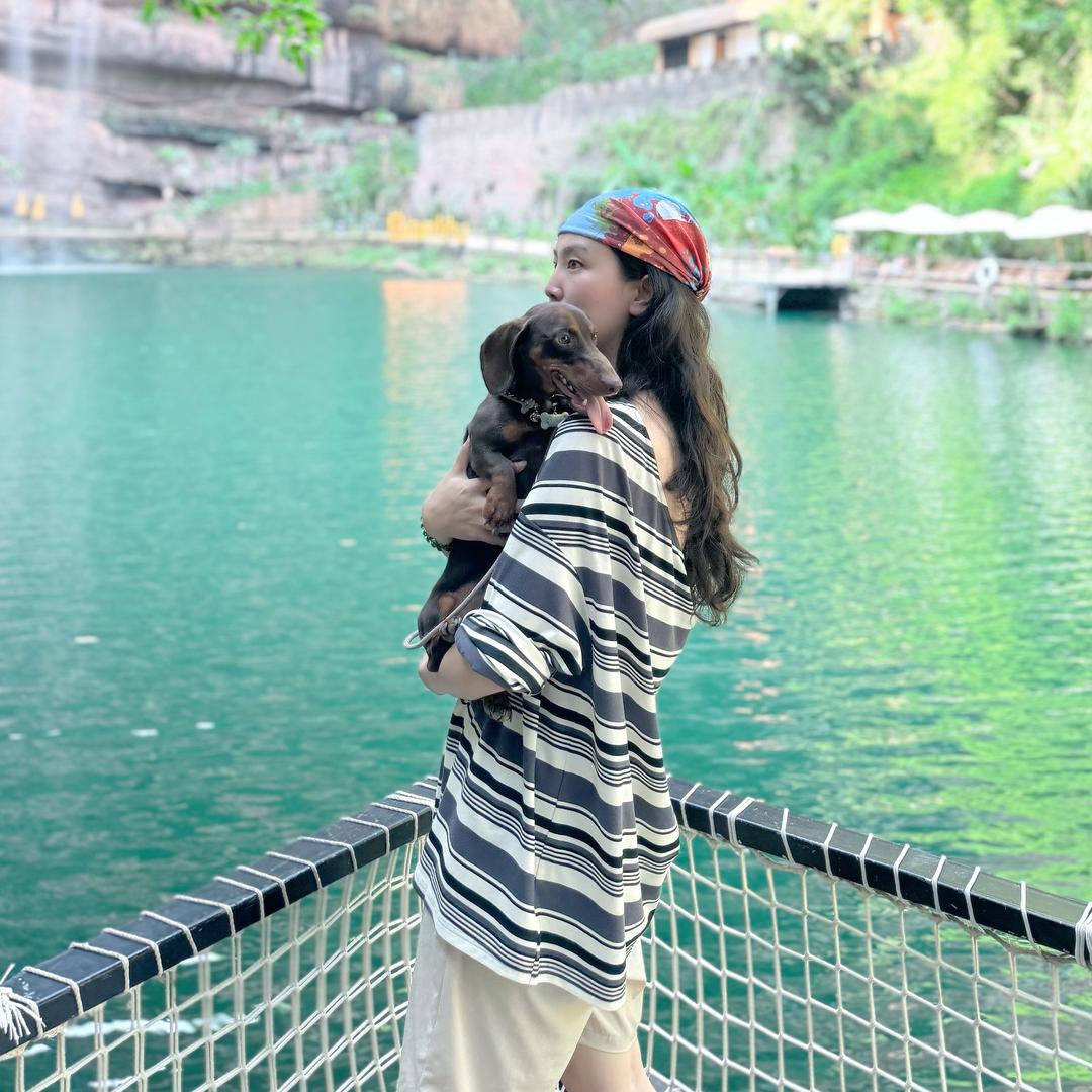 我是杨杨杨的杨