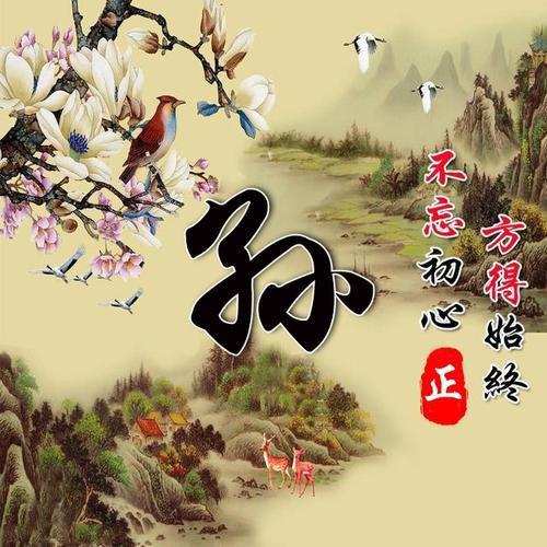 孙华春