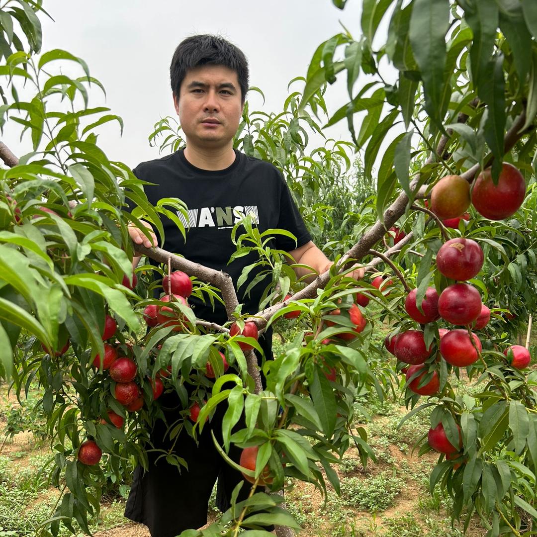 众翔果树苗木专营店