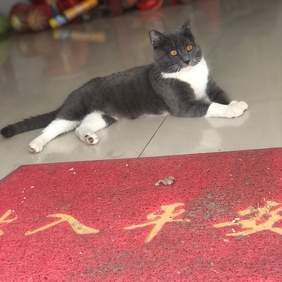 龙女