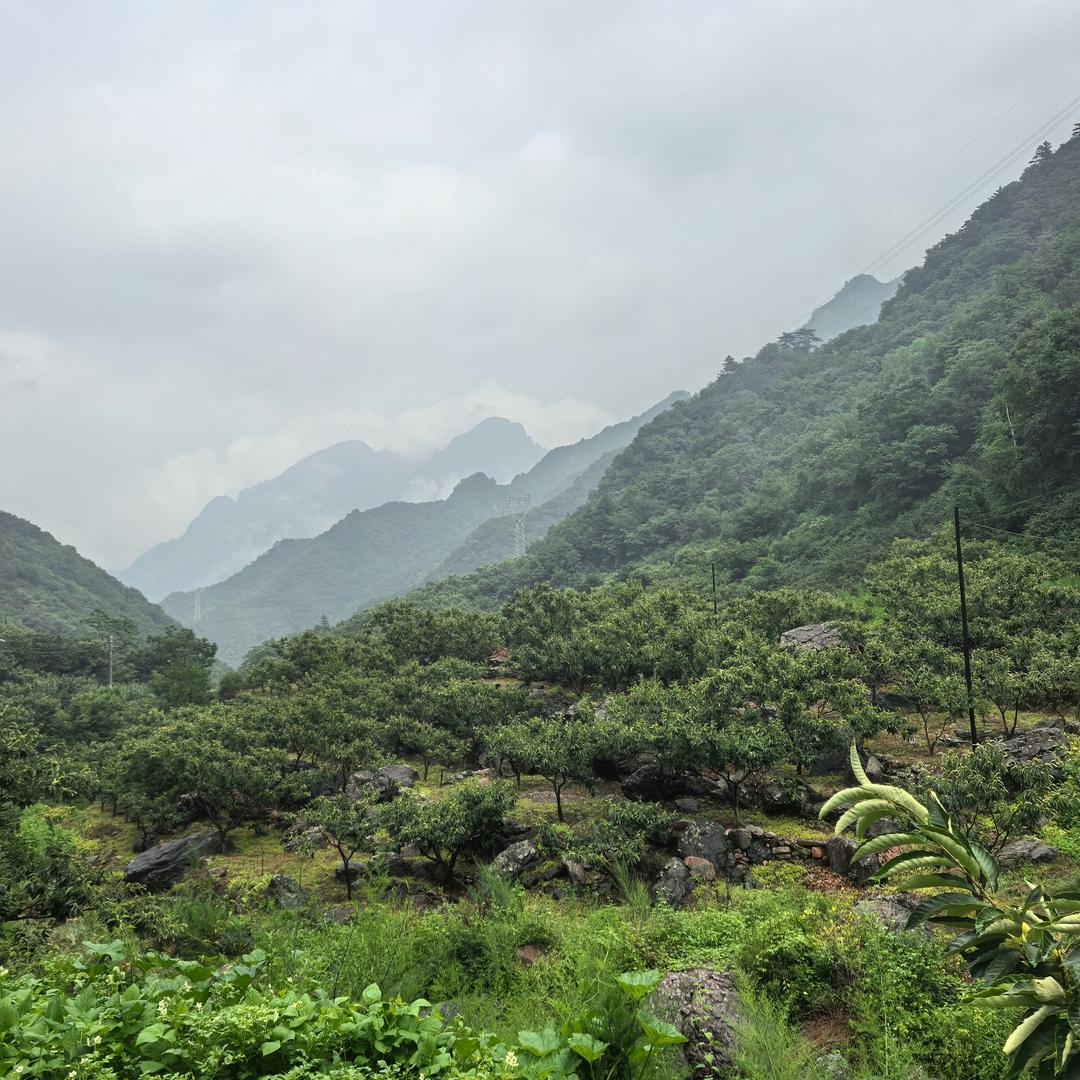 五金机电产品销售