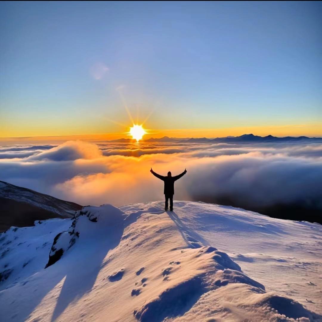 科技企业孵化- 贸易增量（全国可接）