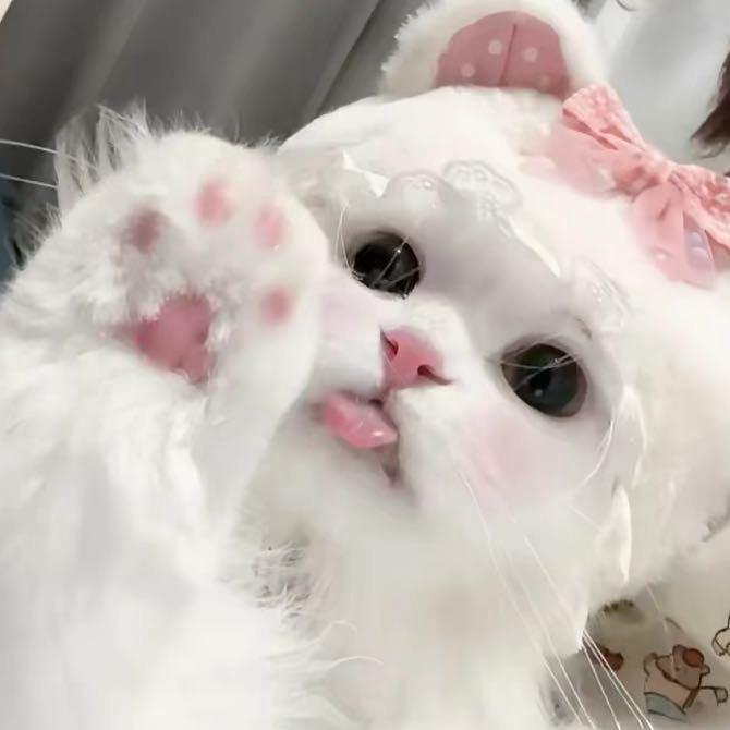 -FANG^