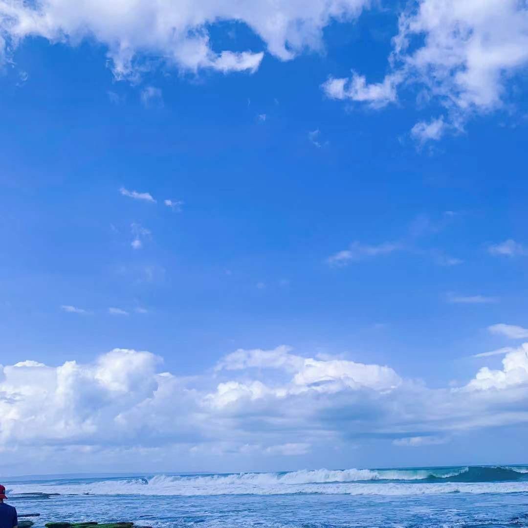 枫泊