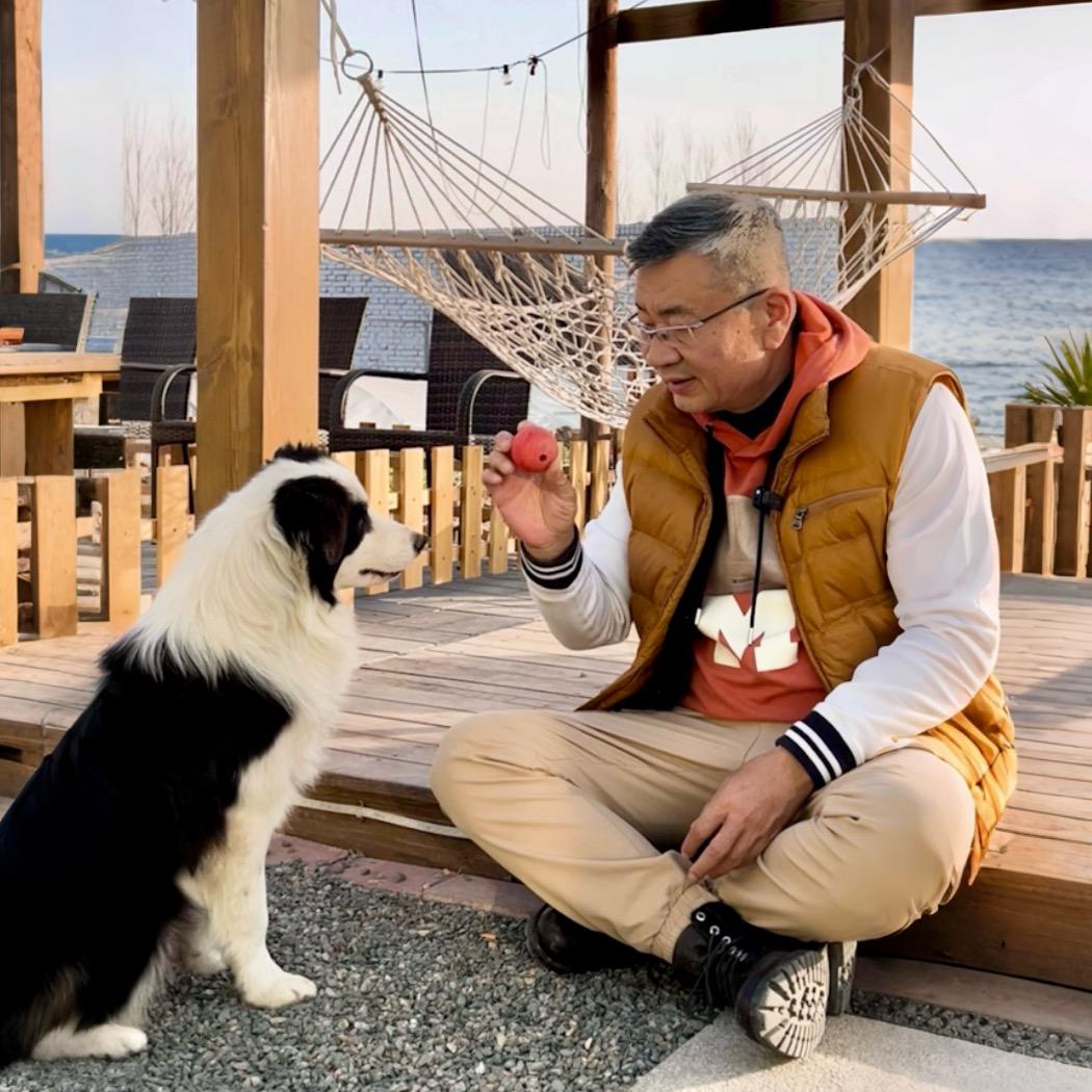 大航犬舍cku