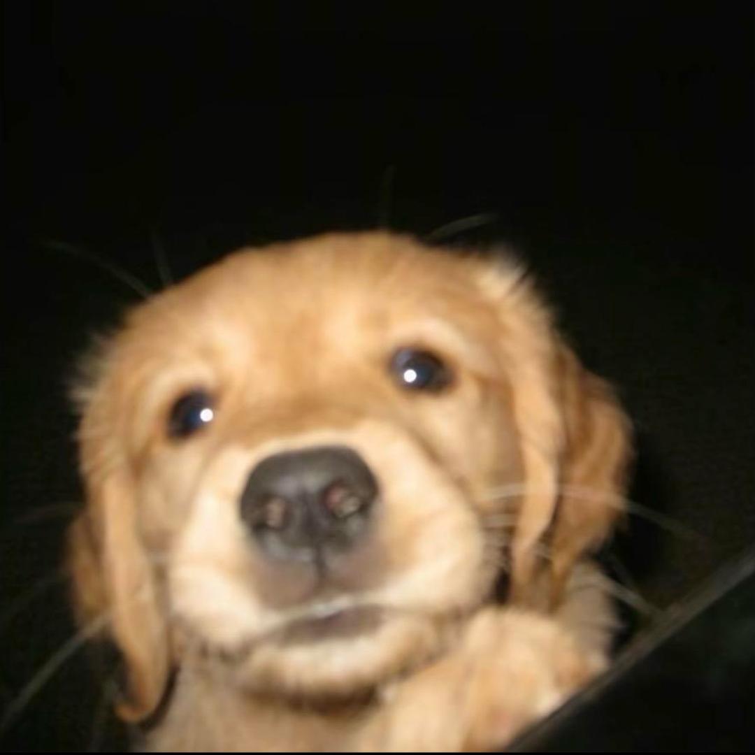 钰珉