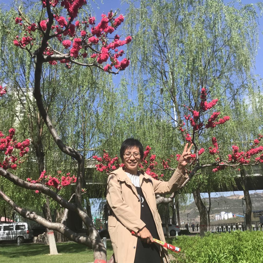拳妃
