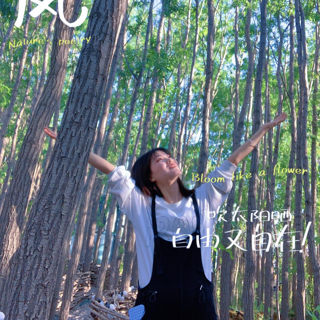 YY的朋友圈💫