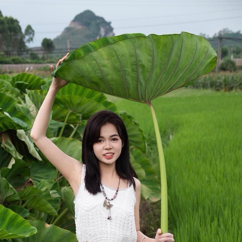 乡村小叶（赶集助农）