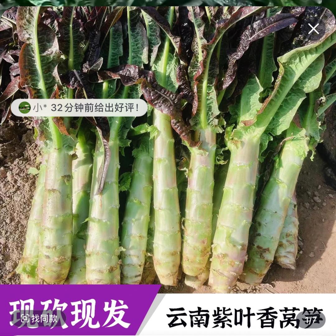 桃桃的农场