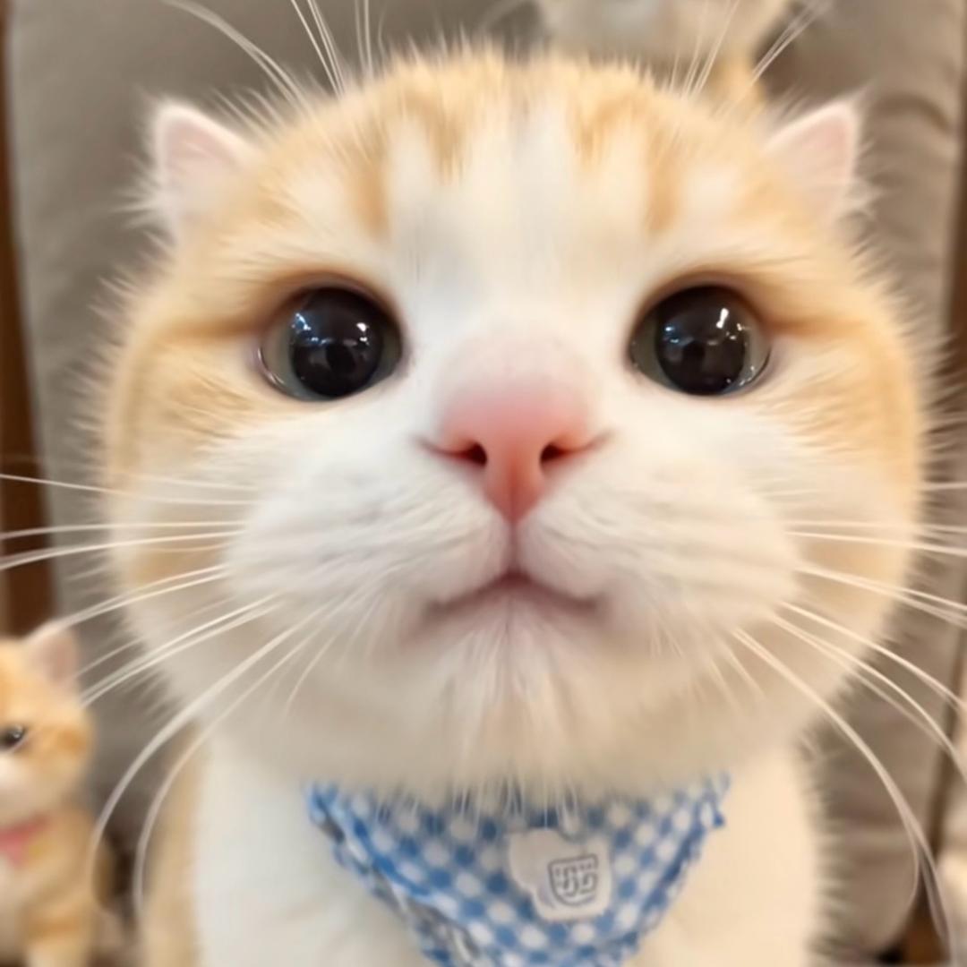 甜❤️静