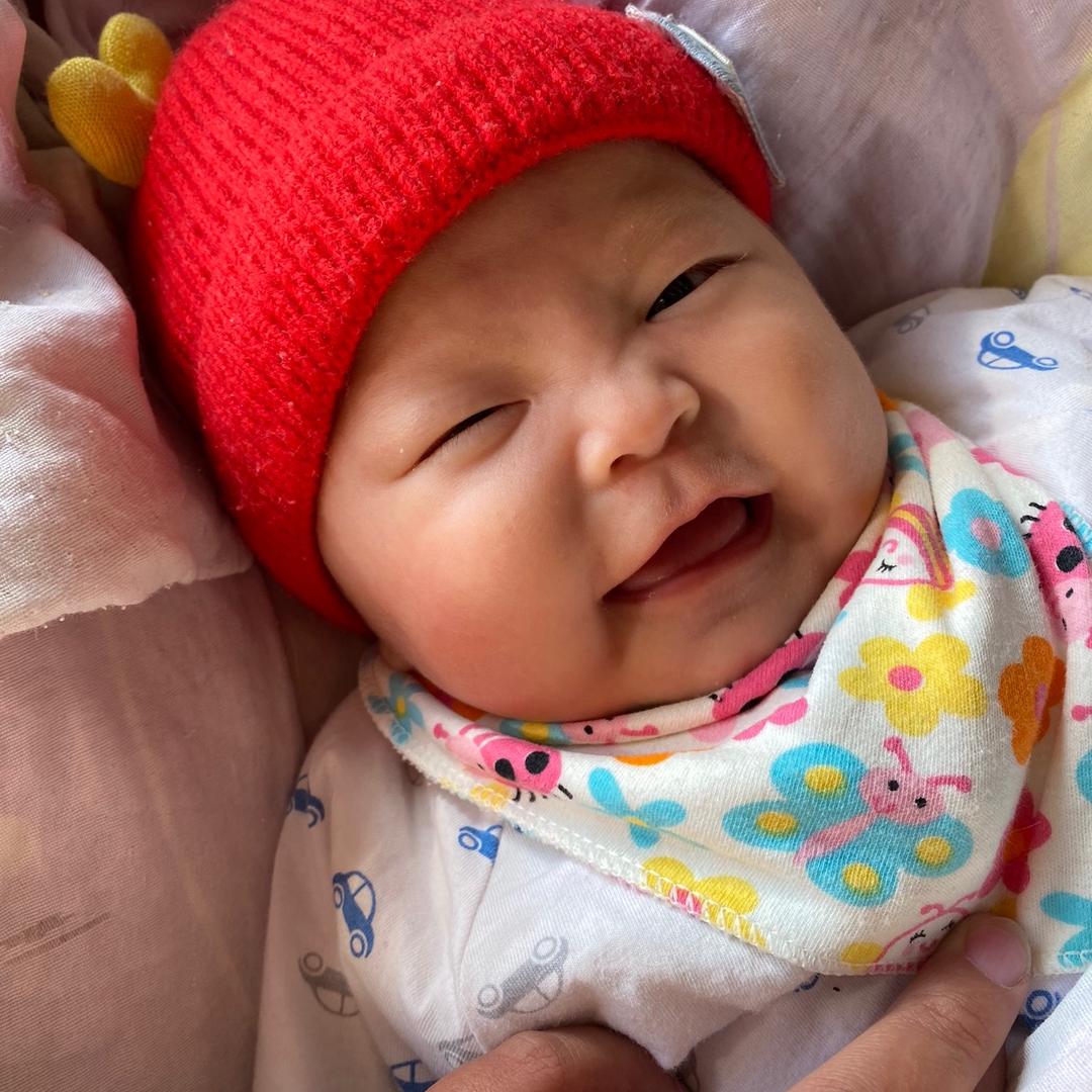 早起的虫子被鸟吃