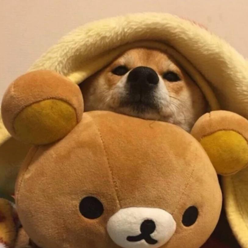 等等就睡觉 ‍