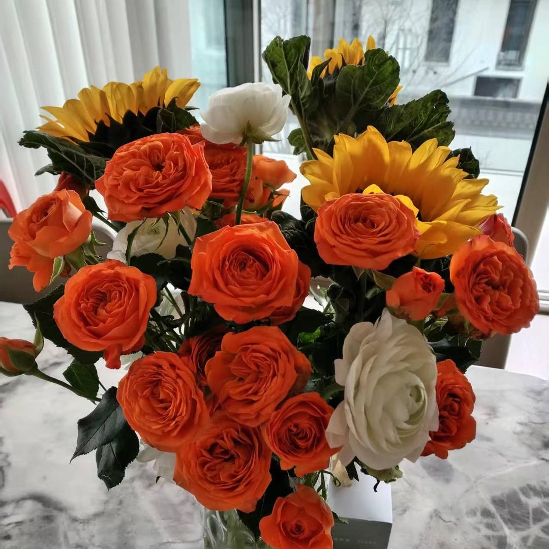 可可鲜花甄选—浙江总仓