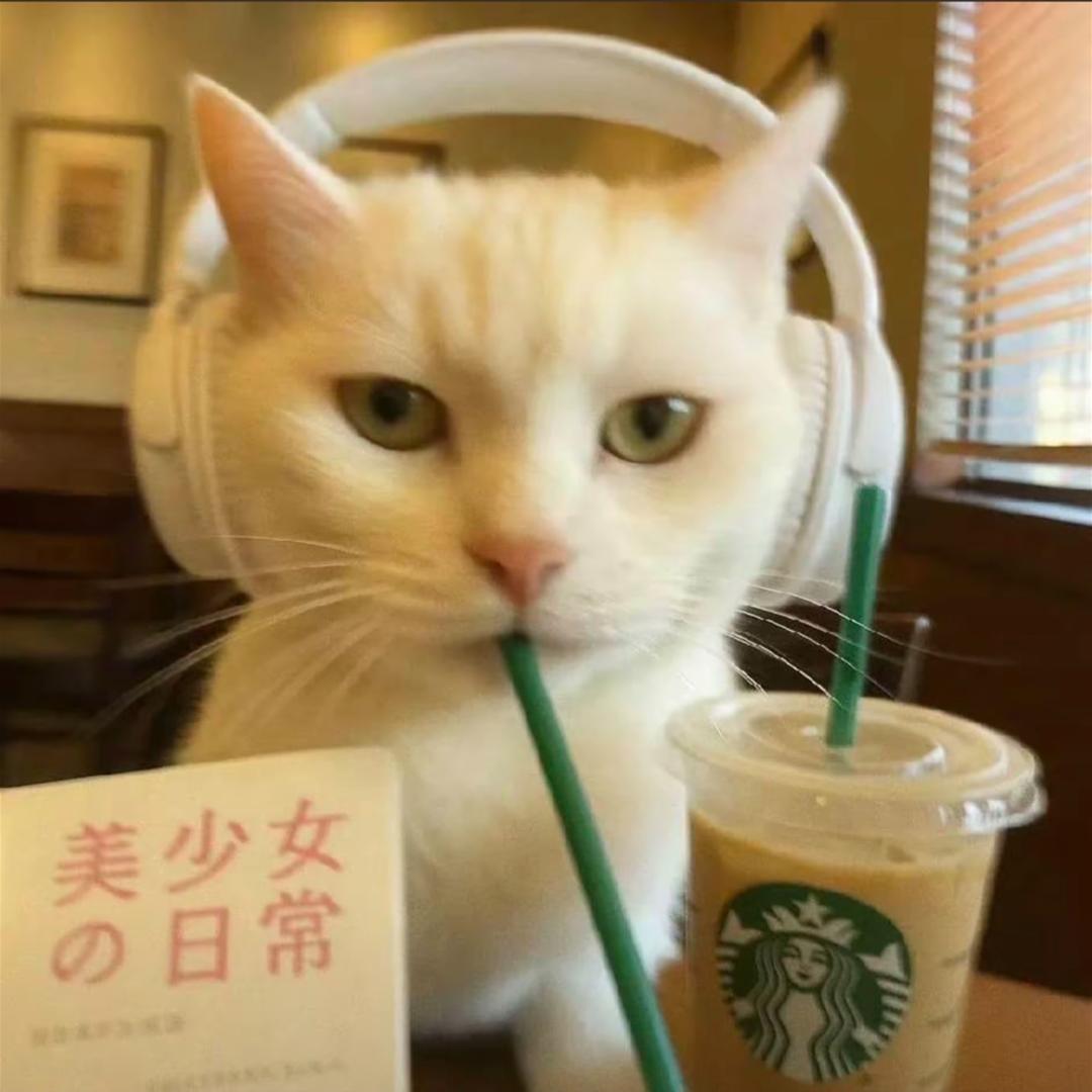 77爱月亮🌜