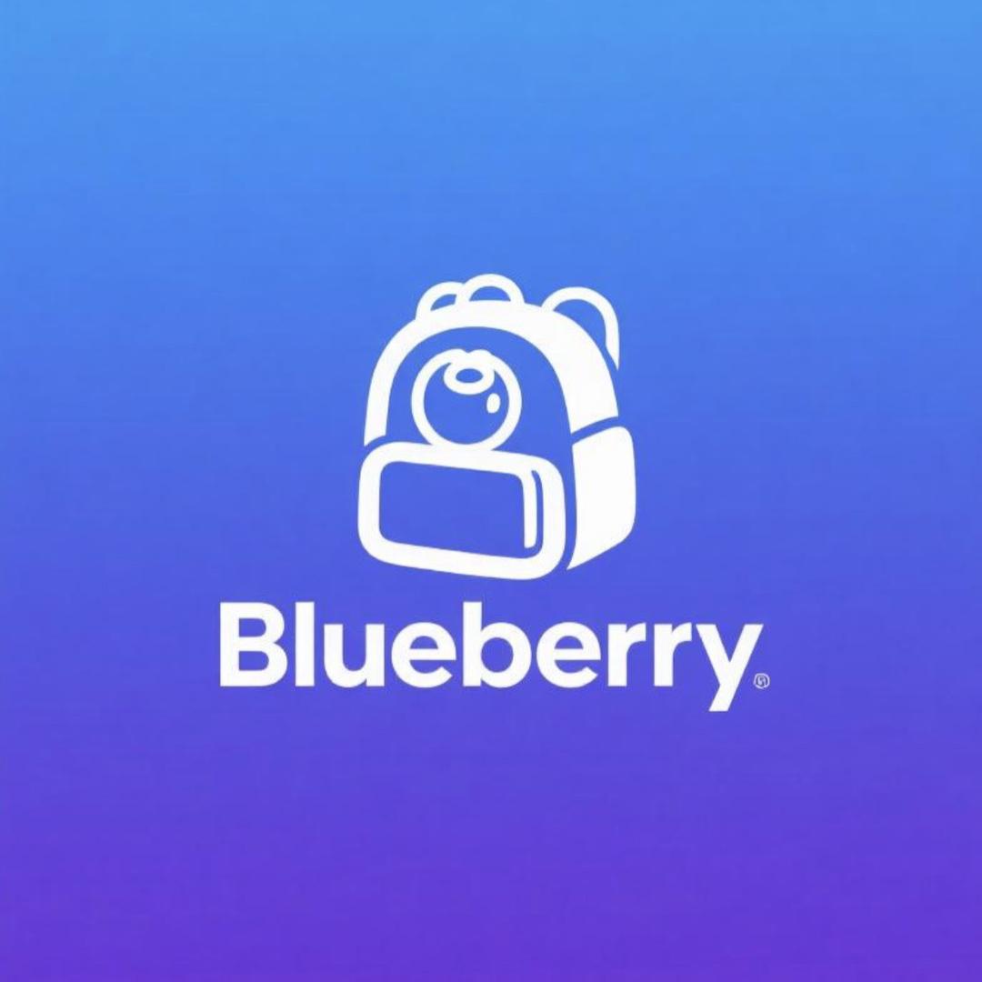 Blueberry品质书包店