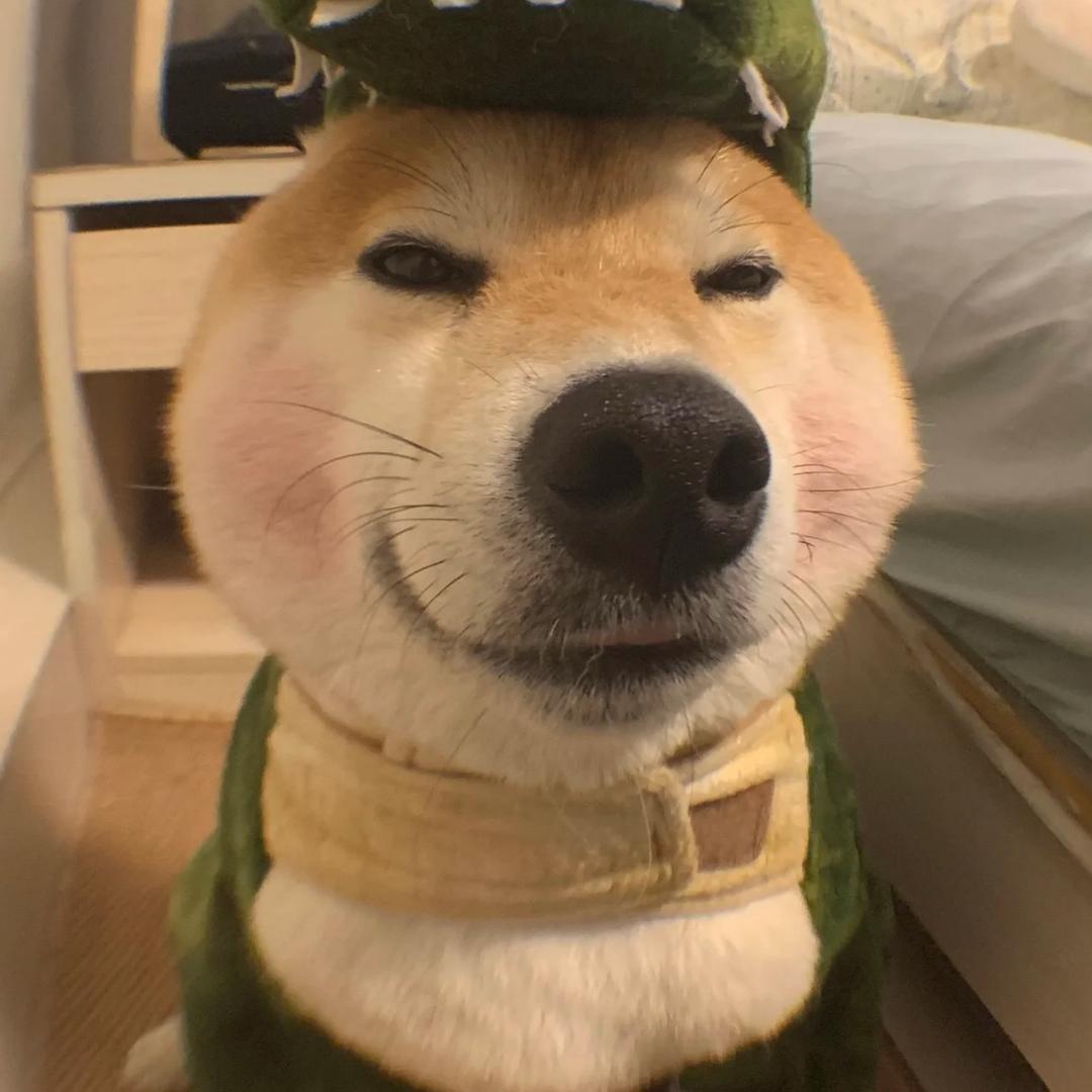 卡米a