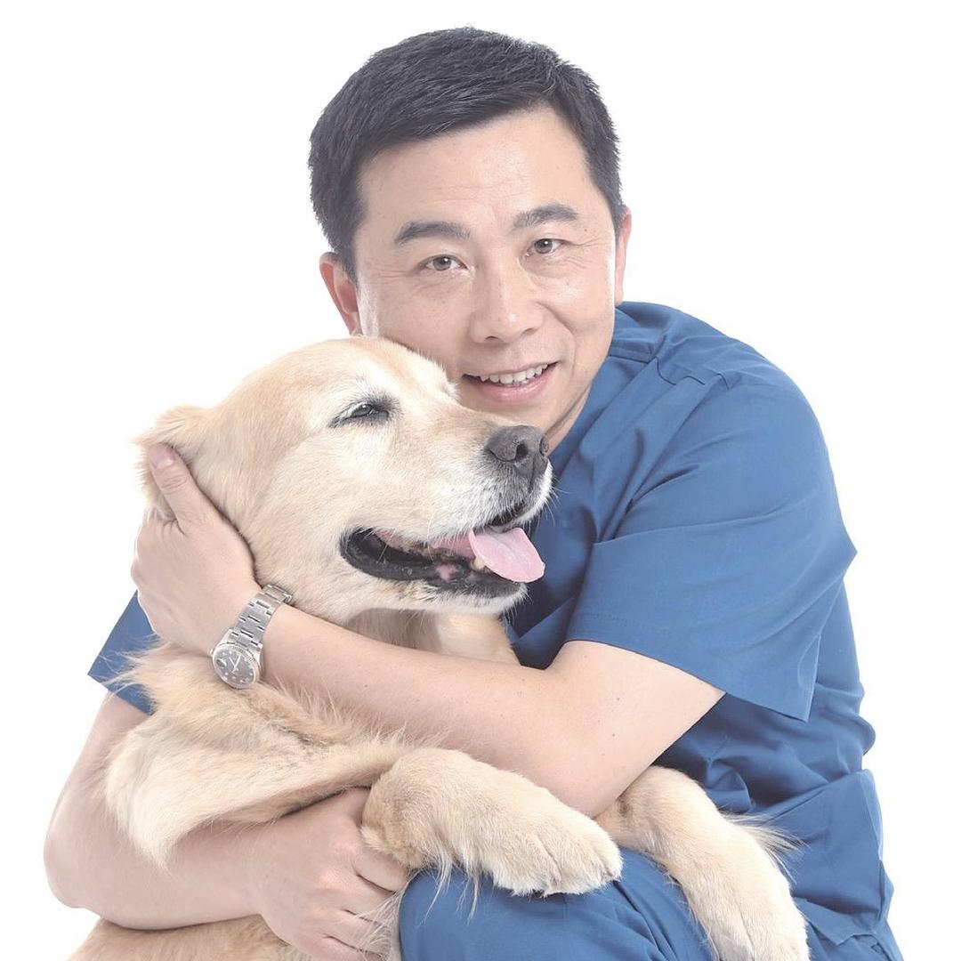 宠物医生董轶博士@抖音