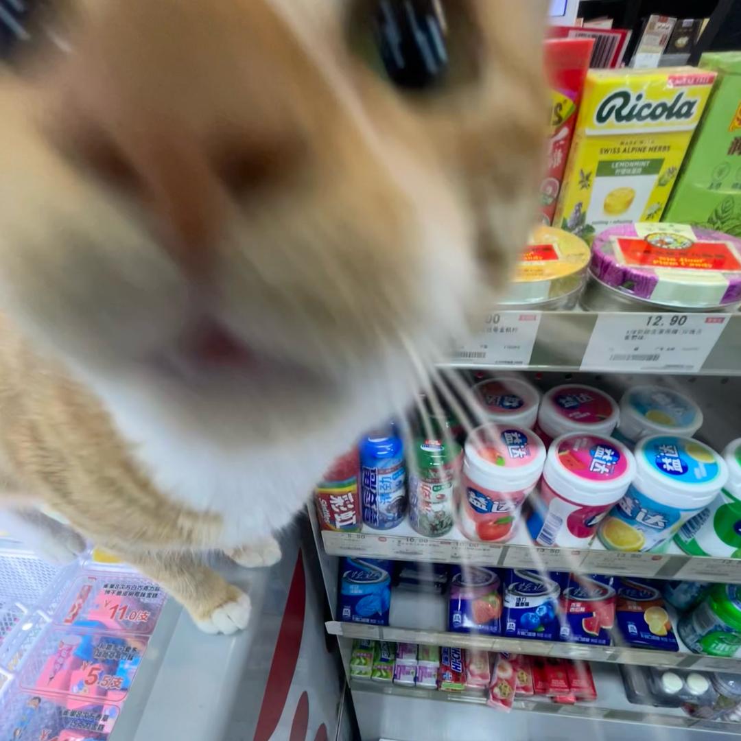 不对