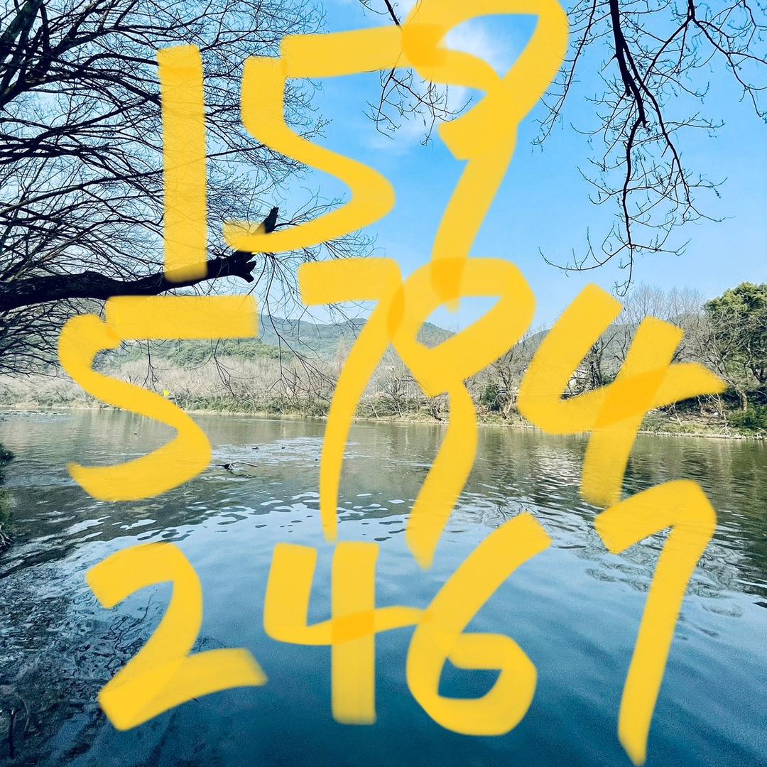 新手司机安驾陪练