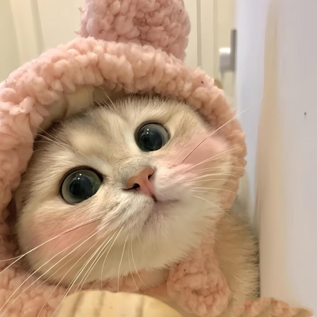 🧸 泡泡呀