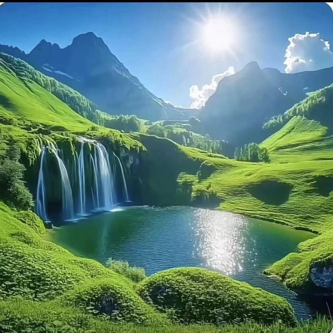 我与狸奴不出门