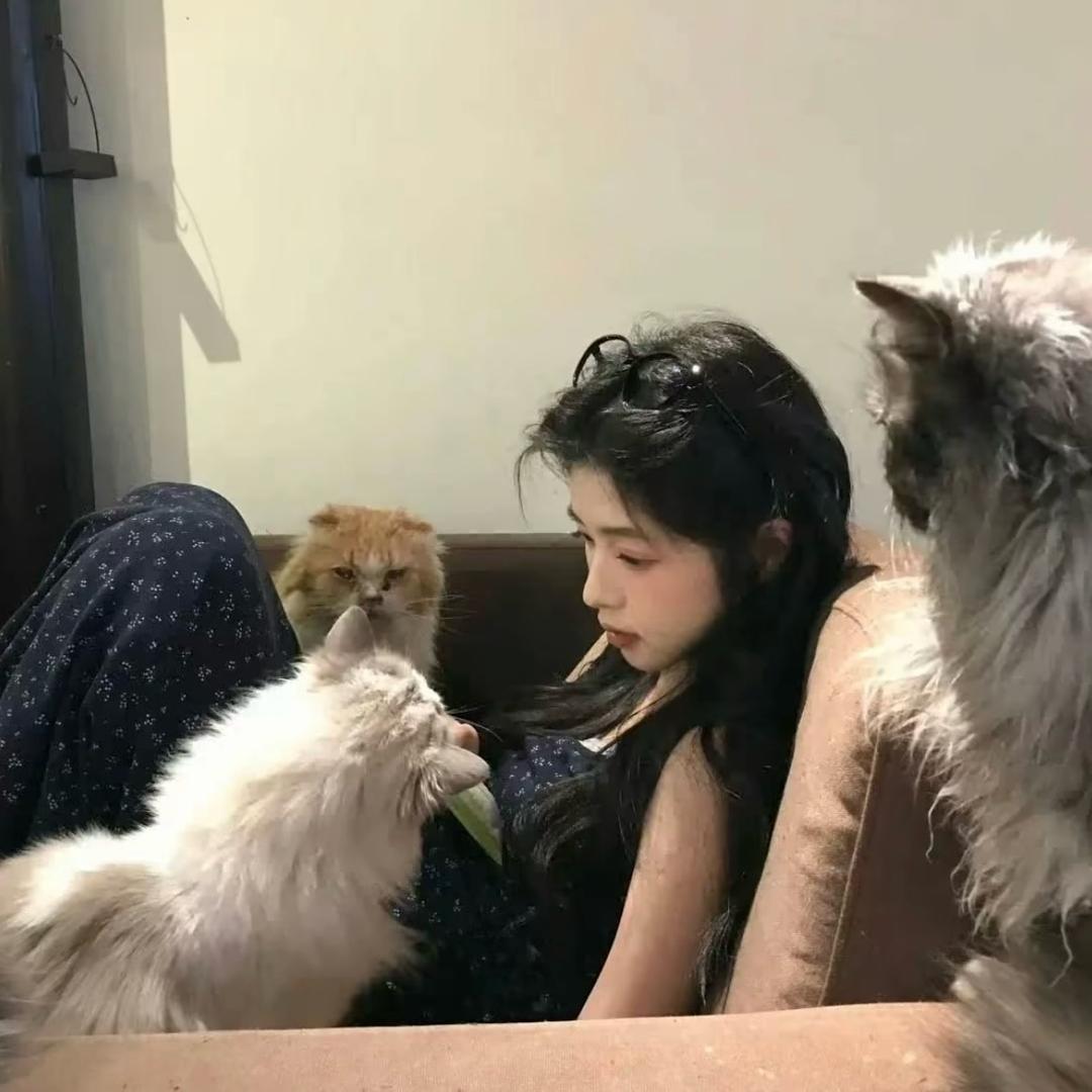 心动便是劫.