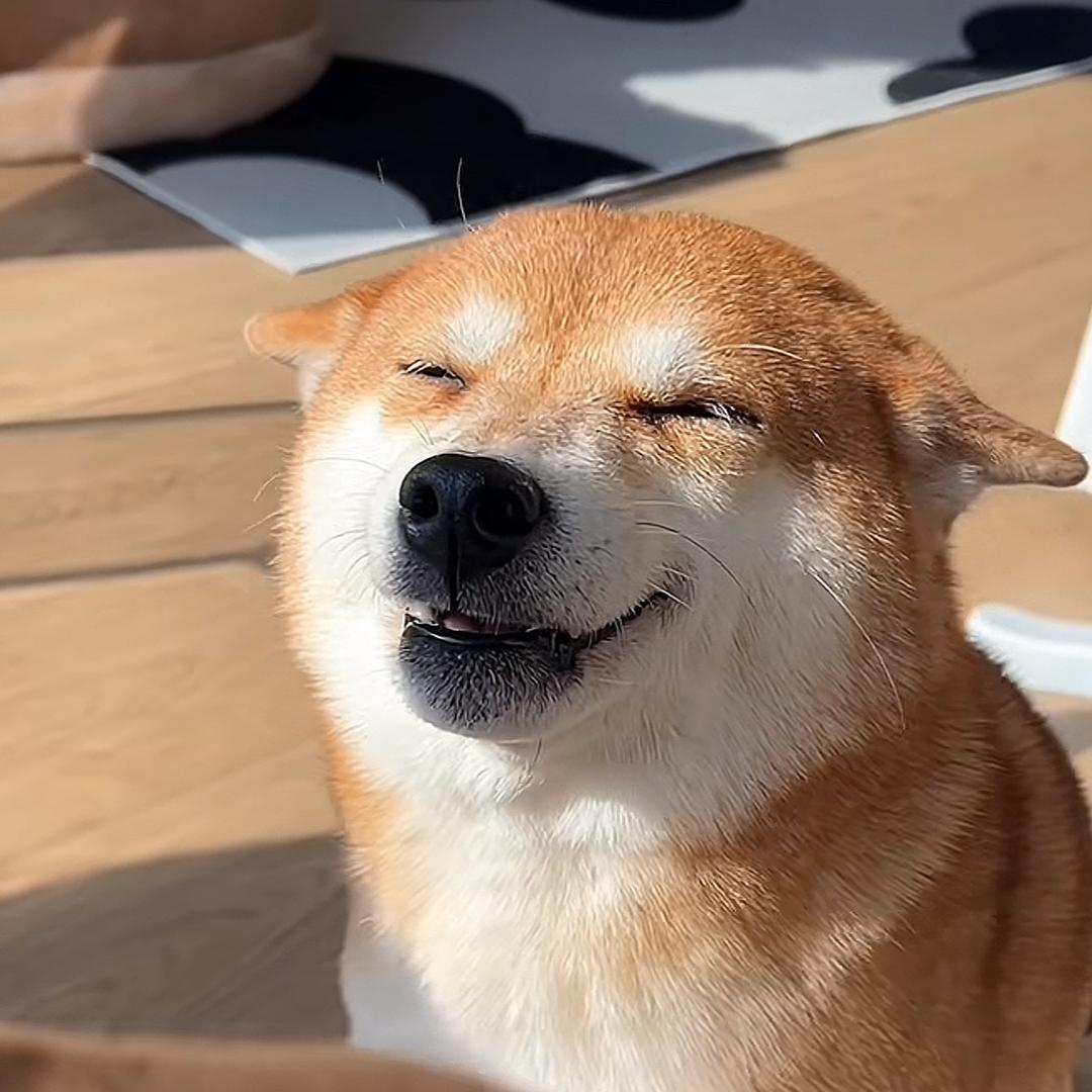 小螃蟹🦀