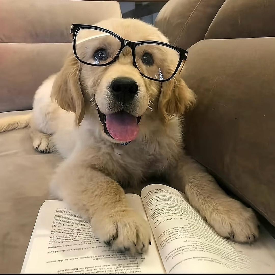 不拍照的狗仔队长