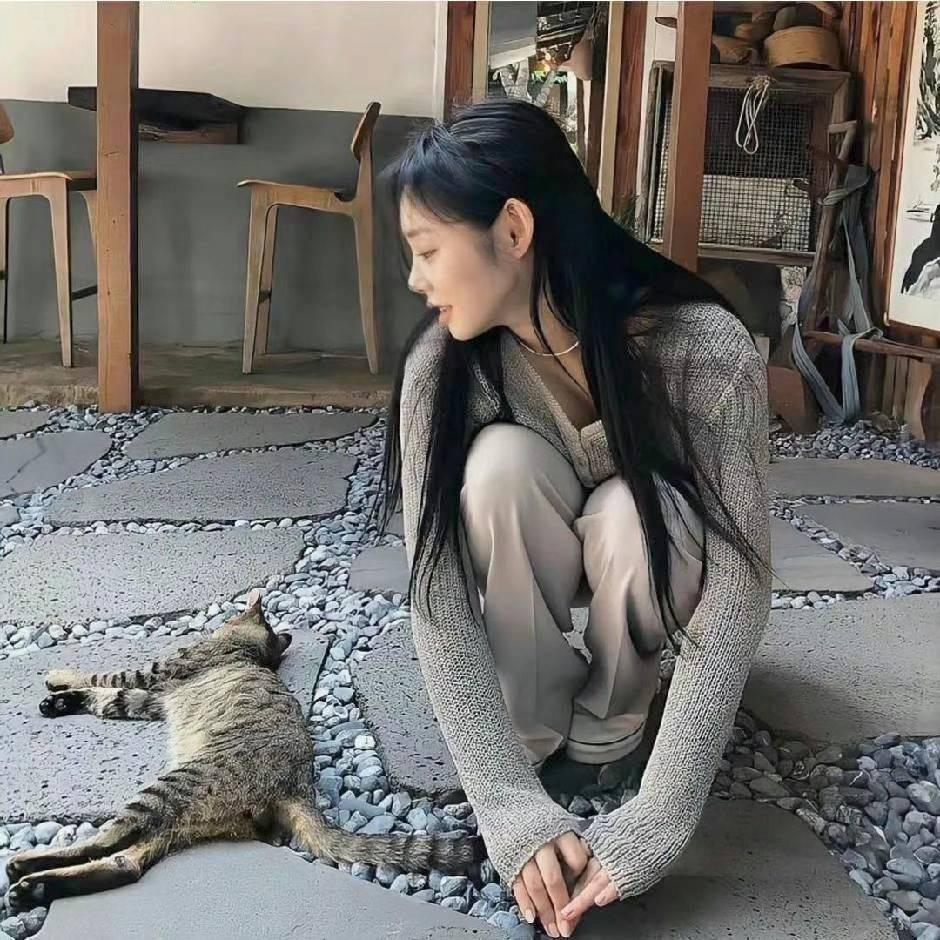 💤