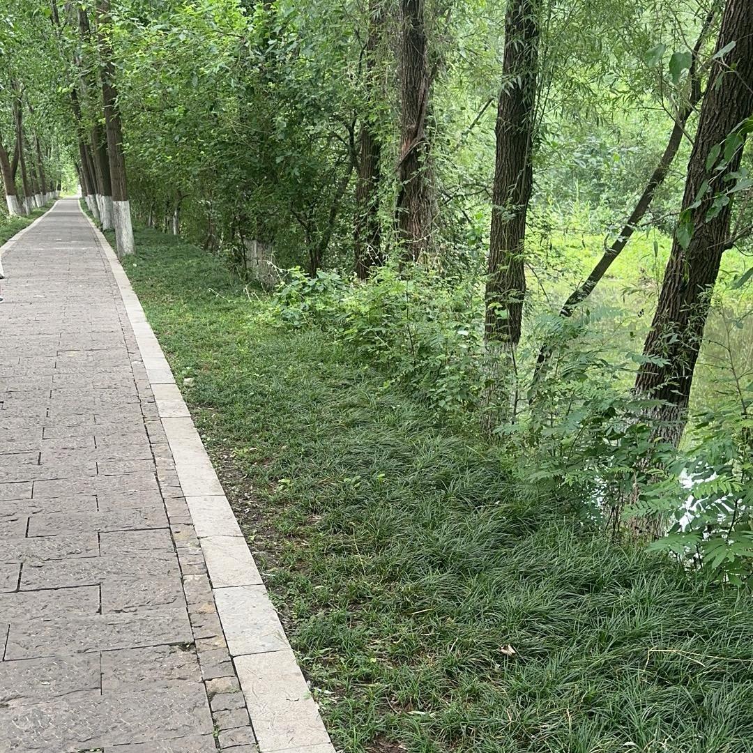 小小