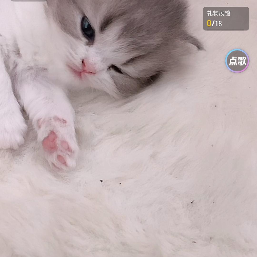 格格好物