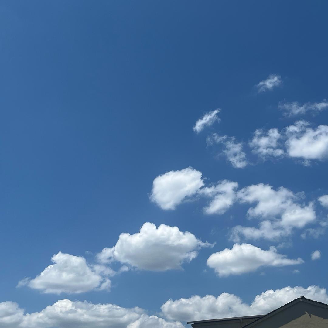 涵子好物社🛍️