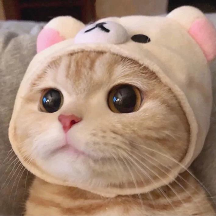 贾宋途顺汽修小李