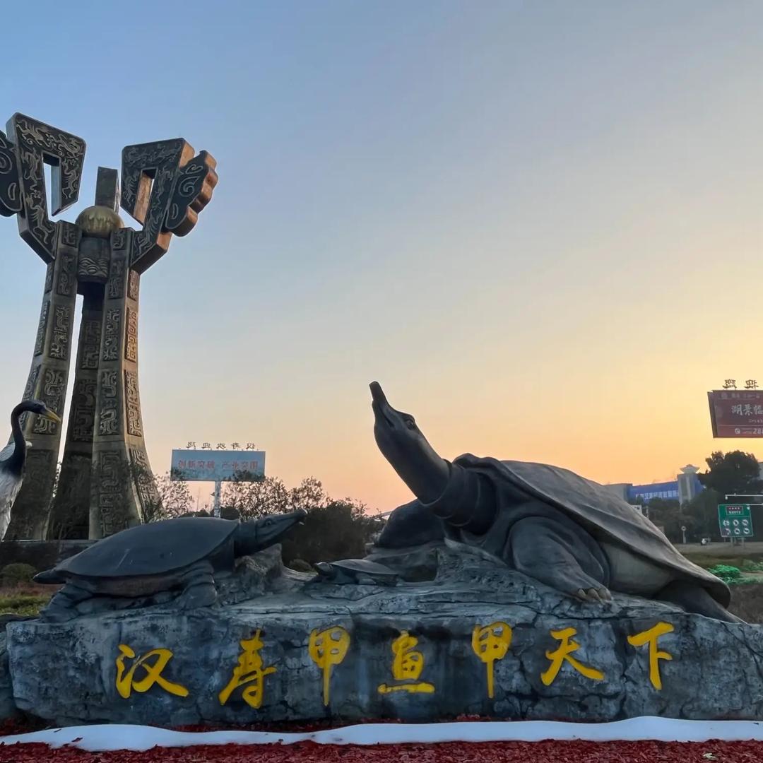 汉寿甲鱼甲天下