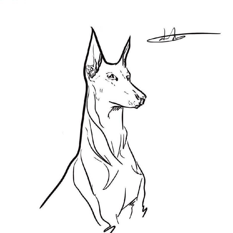 百威小公主@抖音