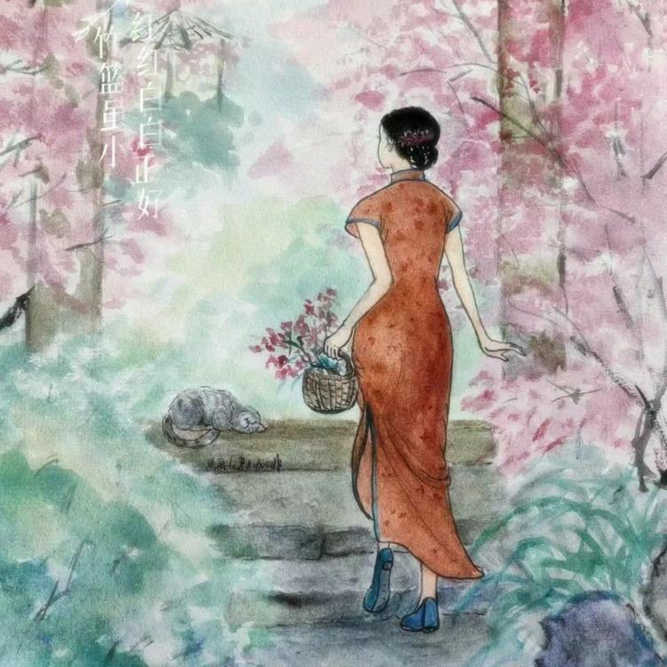 规范