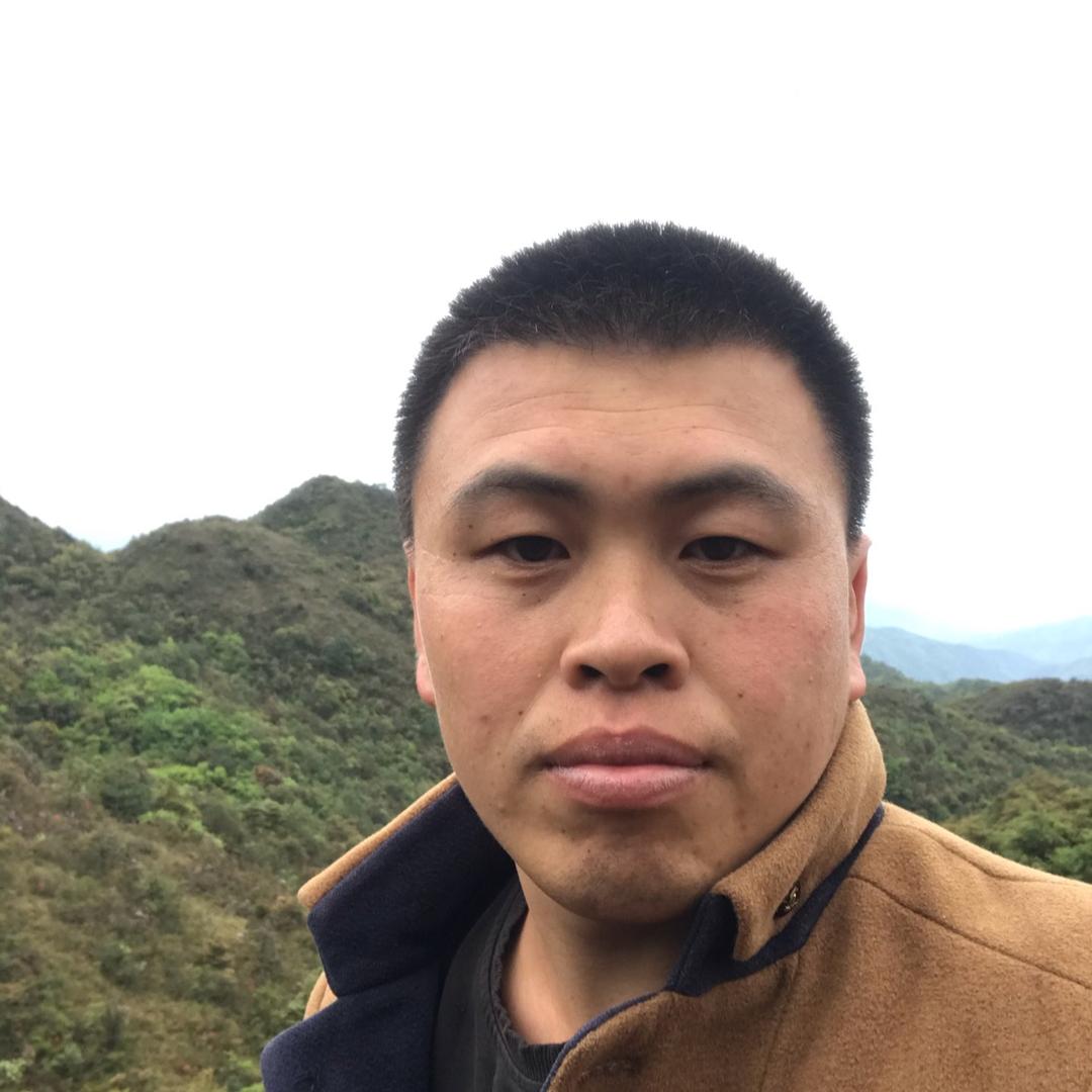 燈奎