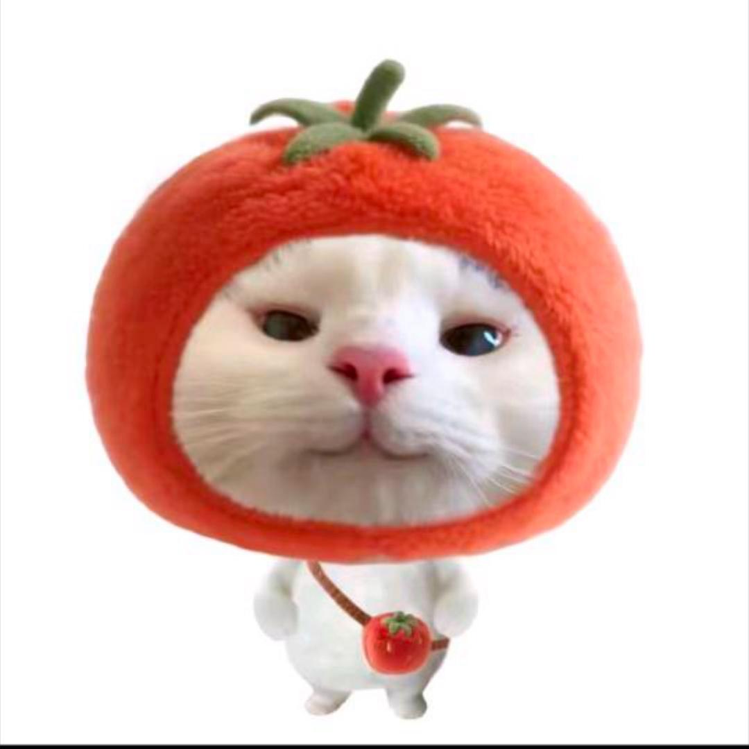 没有晚安算了