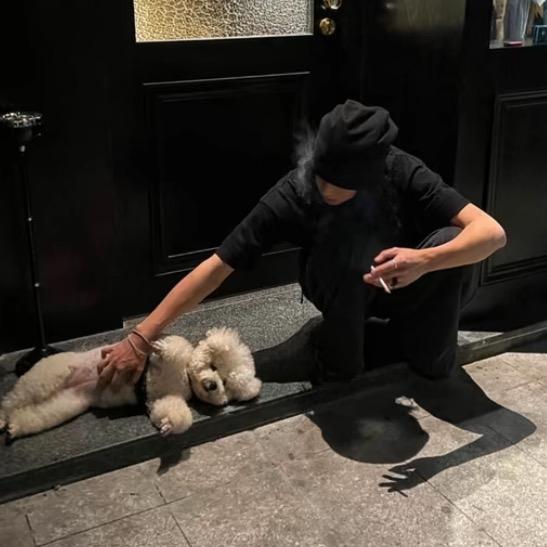 一棵树