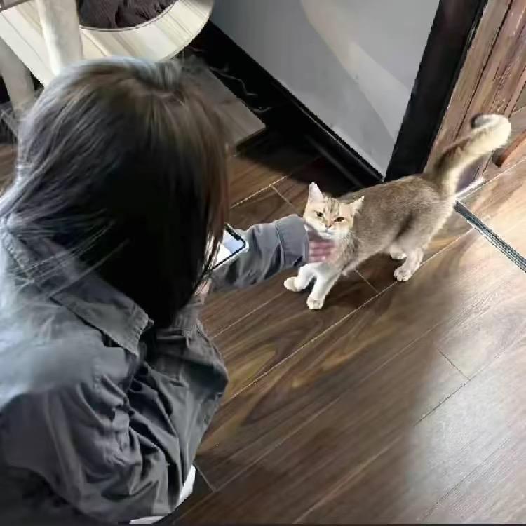 iiuuu^
