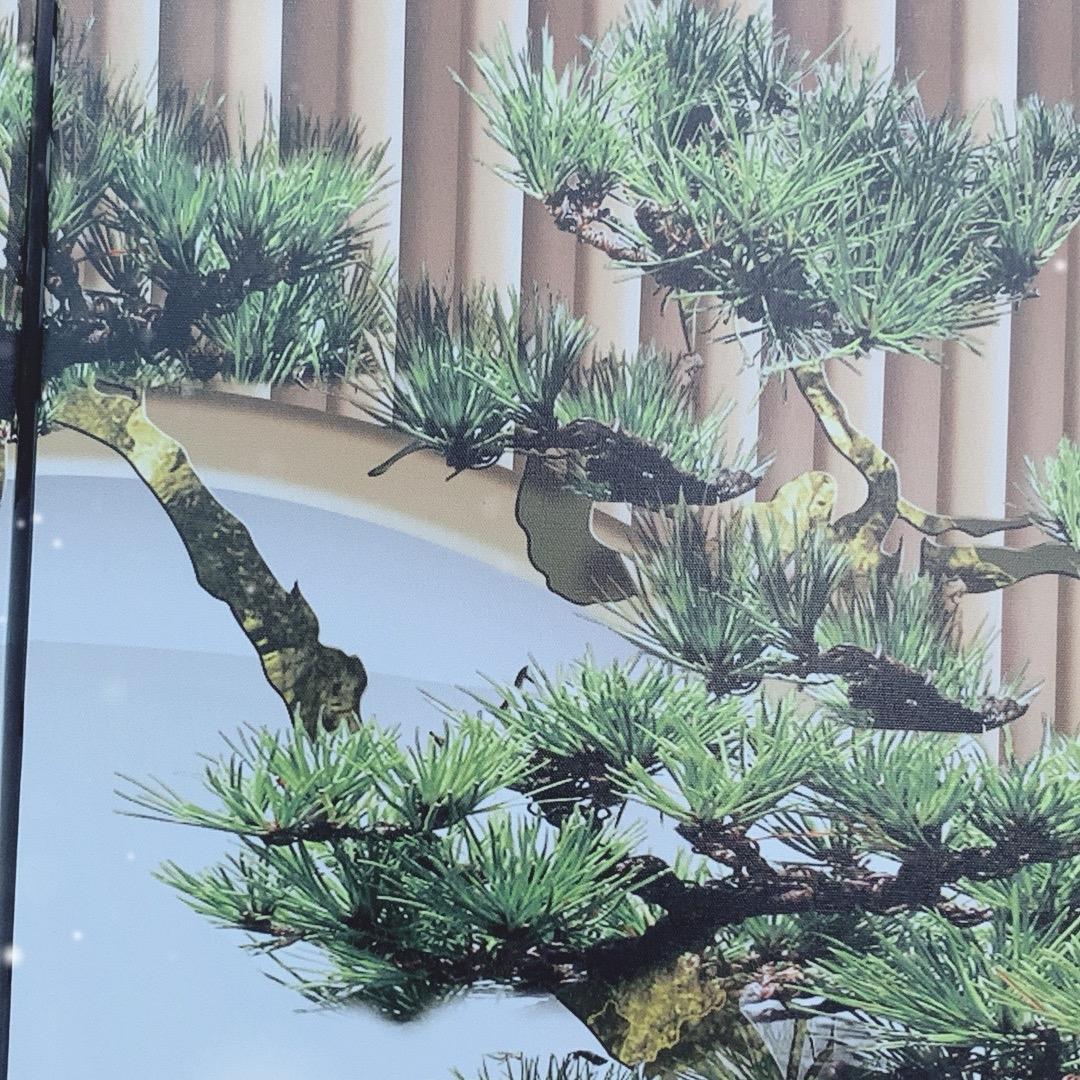 一个松针
