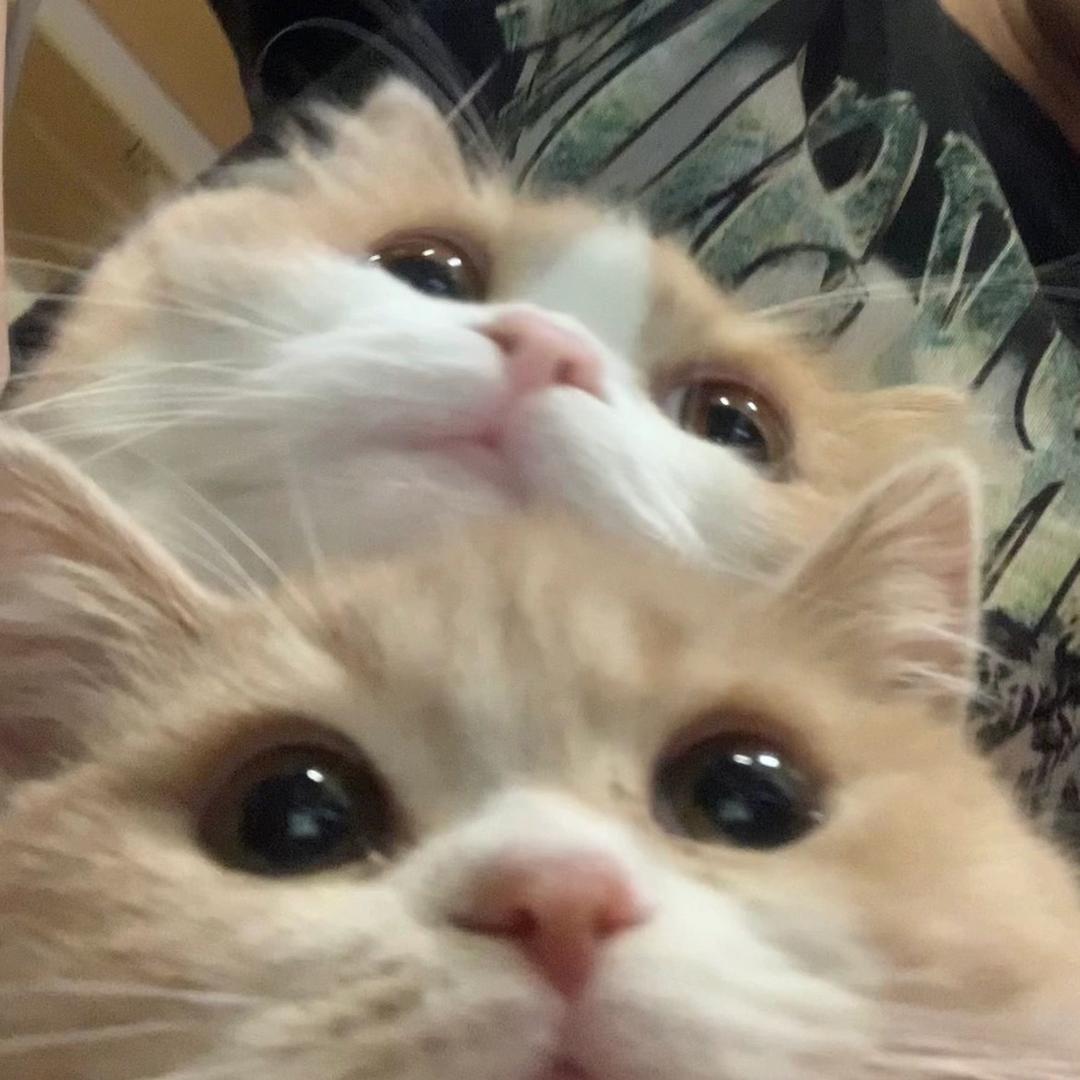 早