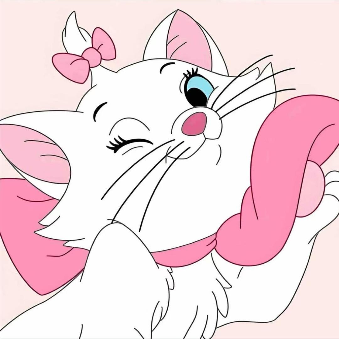 蓝莓不懒