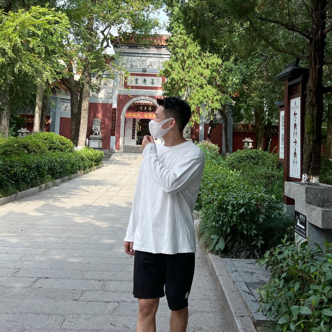 赵师成