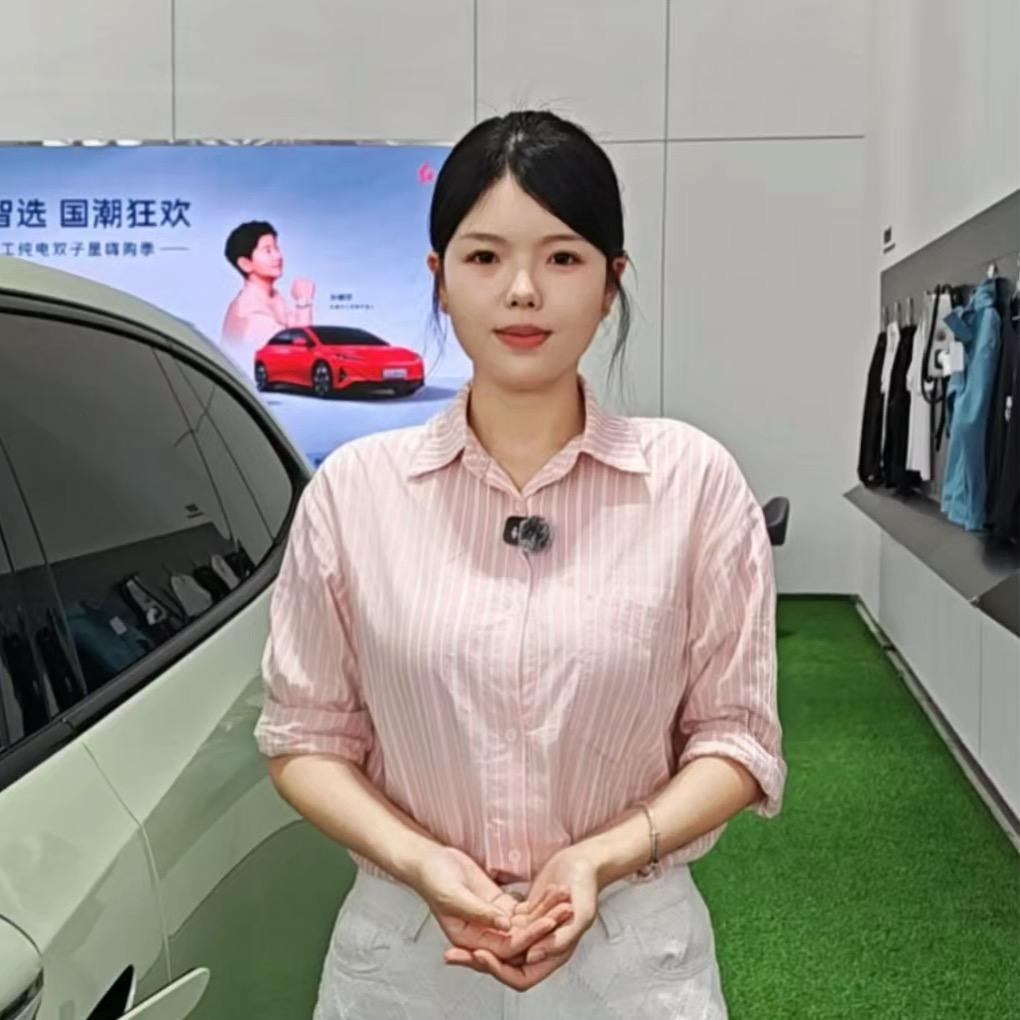 红旗新能源-梓文