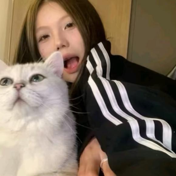 我不是沈